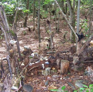 Space with No Name 013