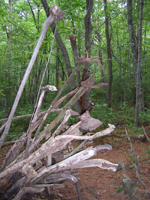 Space with No Name 026