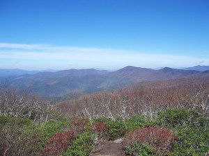 Craggy Gardens & Pinnacle 2013 038