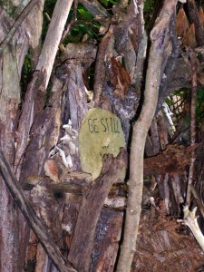 Space with No Name 004