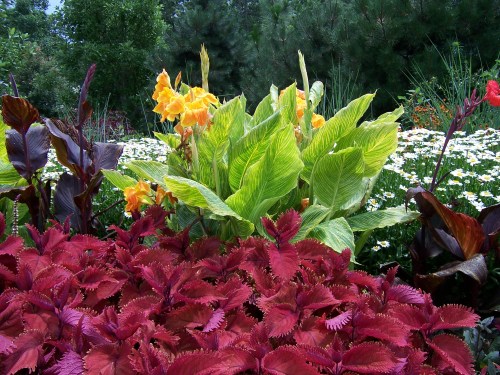 Photo: Georganne Spruce