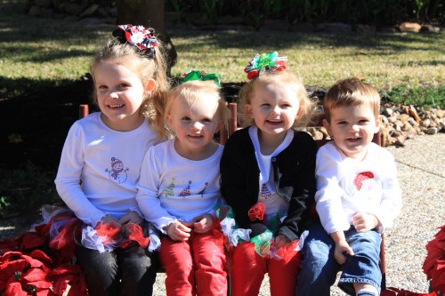 Photo: Georganne Spruce