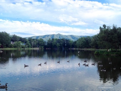 !cid_BD038264-607B-4D7B-A692-52C16291E203