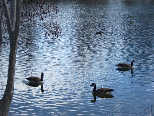 Photo: Georganne Spruce 